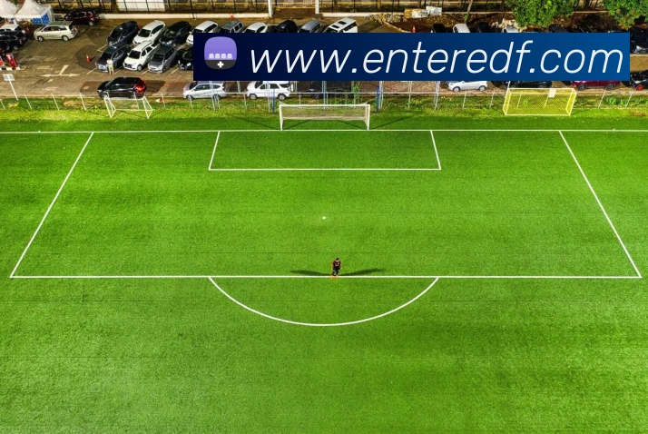 巅峰国际平台生态图