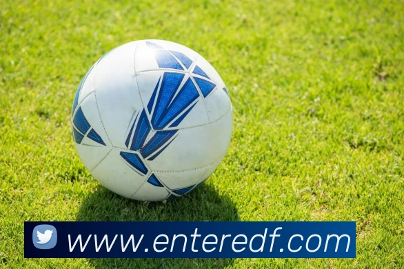 巅峰国际APP 封面图